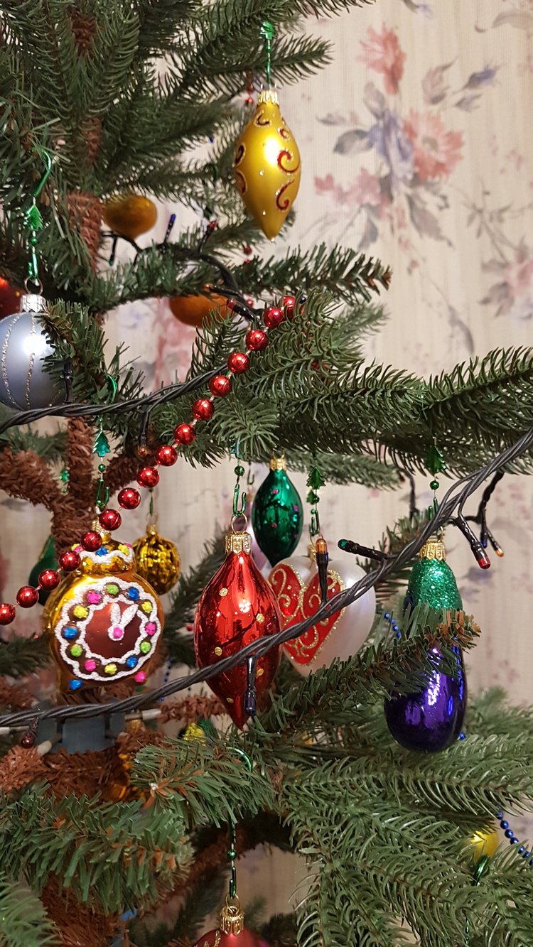 В степи родилась ёлочка, в жару она росла