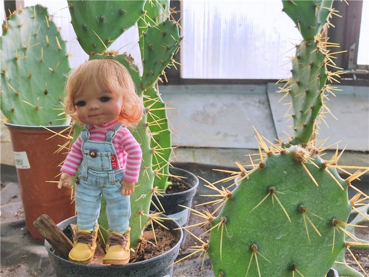 Выставка тюльпанов в Твери, продолжение