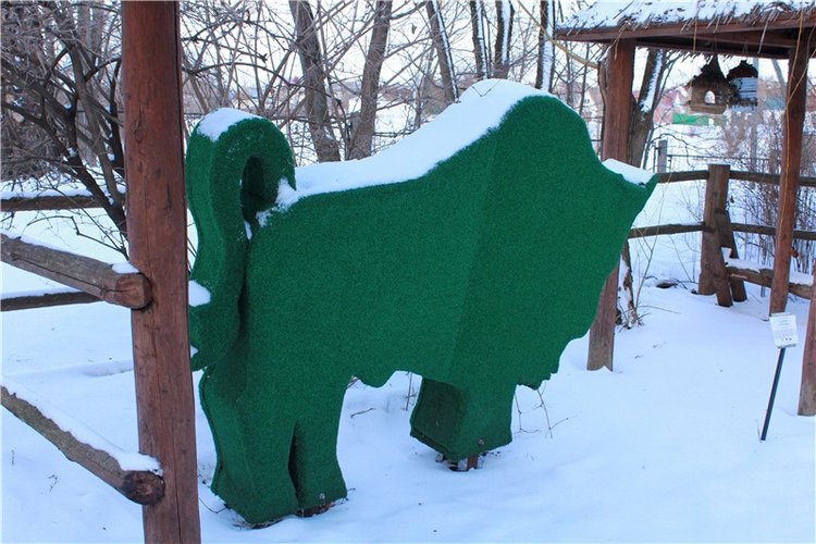 Тверской Ботанический Сад, заключительная часть