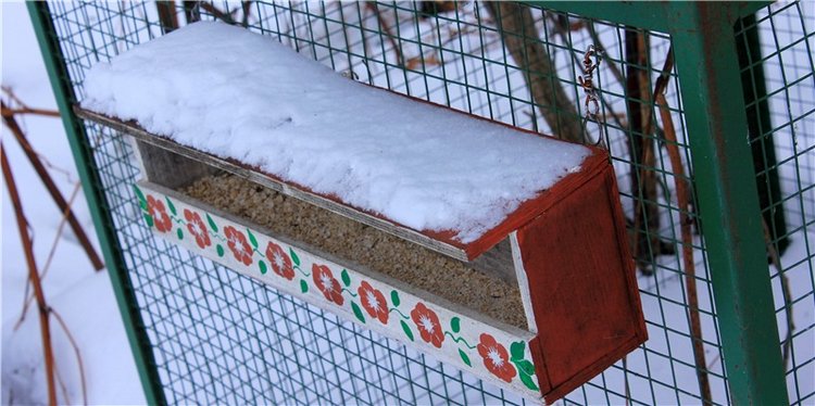 Тверской Ботанический Сад, заключительная часть