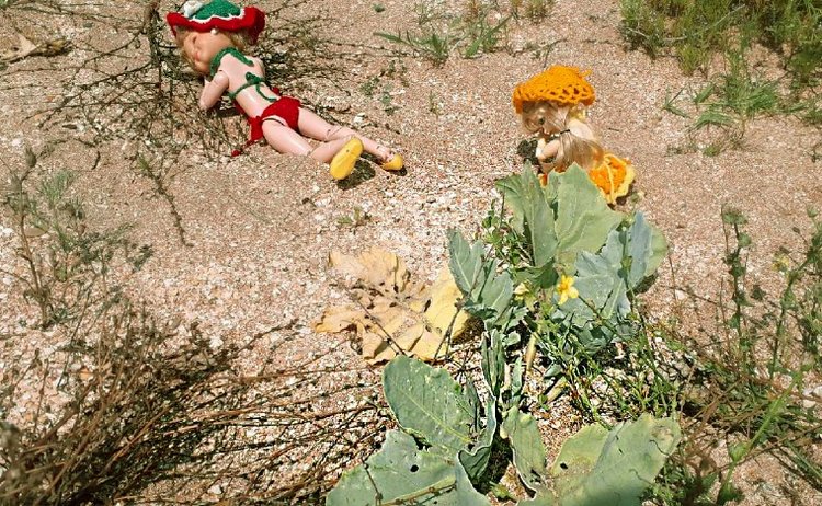 Конец... Лету — Игровые куклы разных производителей (Разное): редкие бренды