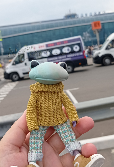 Большое путешествие Кензо. Арктика. Северный полюс