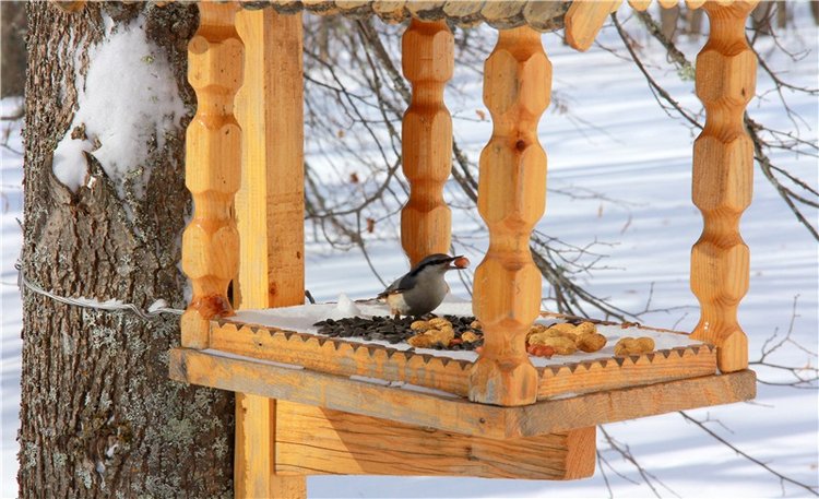 Снежный Март — Туризм и путешествия: фотоотчеты из поездок