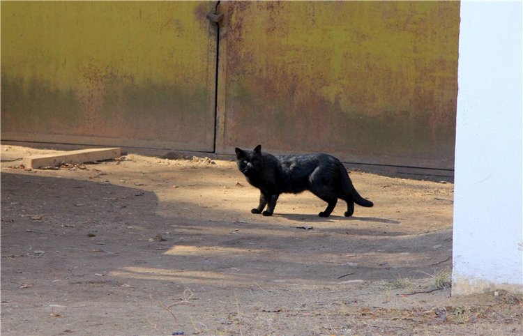 Апрельский день в Василёво (фото 4)