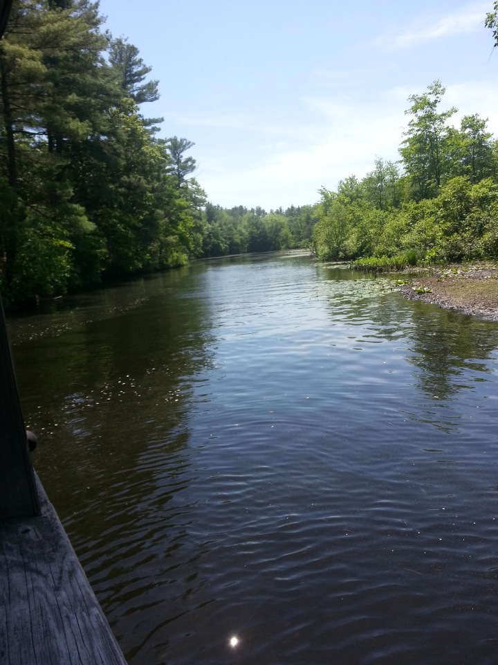 Прокатимся на машине времени? Поселение Старбридж. Новая Англия. 1830 год. Часть вторая
