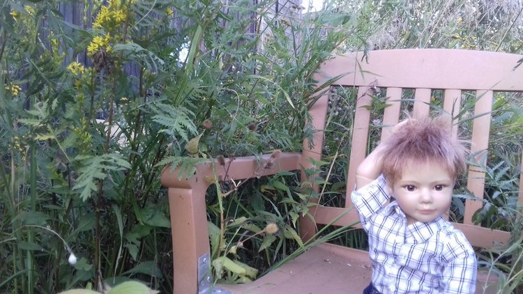 Сельская Санта-Барбара (Кирпич) (фото 10)