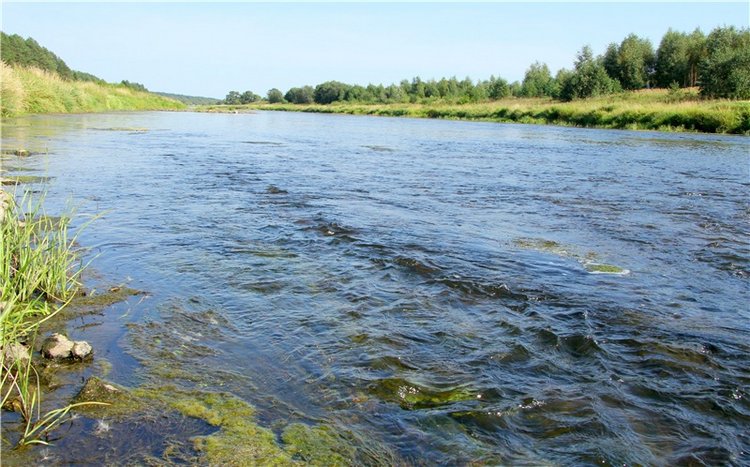 Инопланетянка Нийя. Custom Blythe Doll UFO Go Go Takara