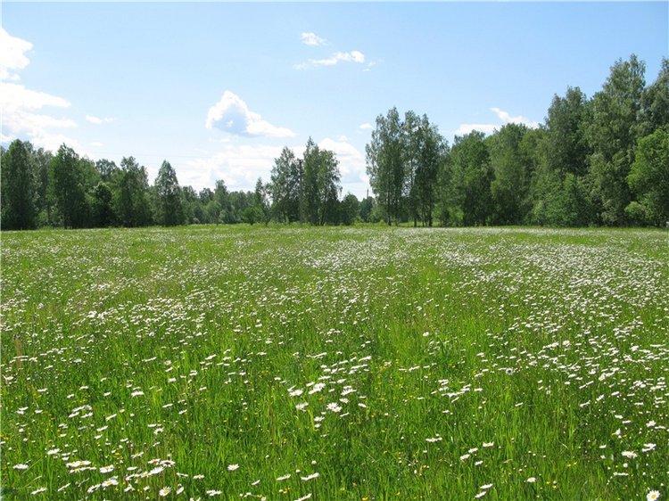 Я ехал к Вам! Пушкинский праздник в Берново, 2018 год
