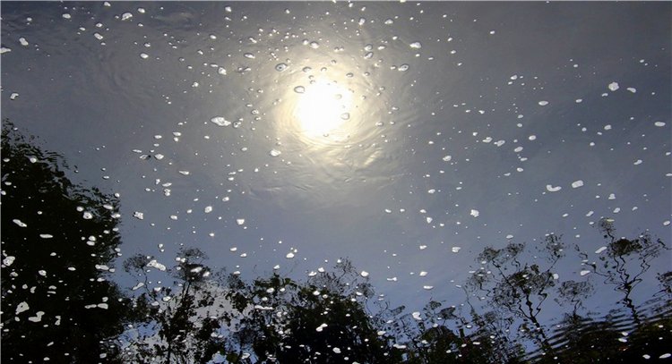 Старицкая Швейцария. Путешествие с Сашей, продолжение. Уникальная кукла от Сильвии Наттерер