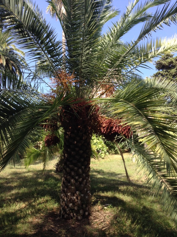 Путешествие Минуш в Испанию. Каталония. Ч.3. Райские сады