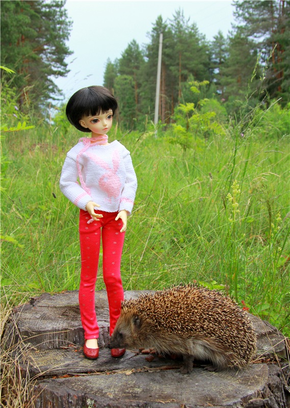 Девочка и Ёжик. Minifee Miyu FairlyLand | Бэйбики Девочка и Ёжик. Minifee Miyu FairlyLand