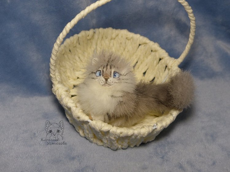 Котята Невские маскарадные, окрас Тэбби пойнт