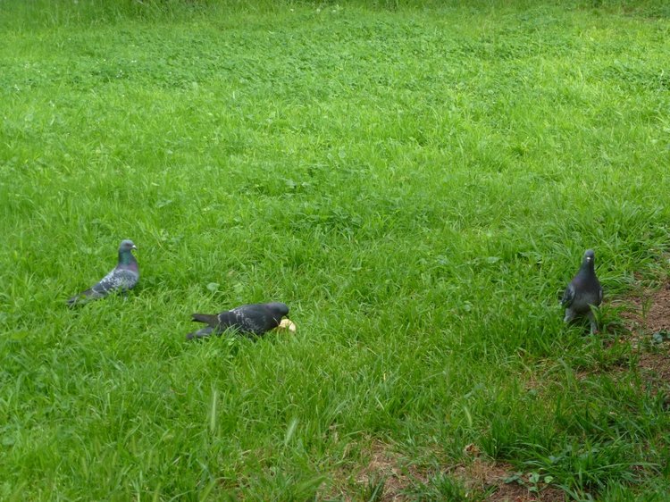 Сочи-Адлер: Южное Взморье - виртуальное путешествие по территории санатория