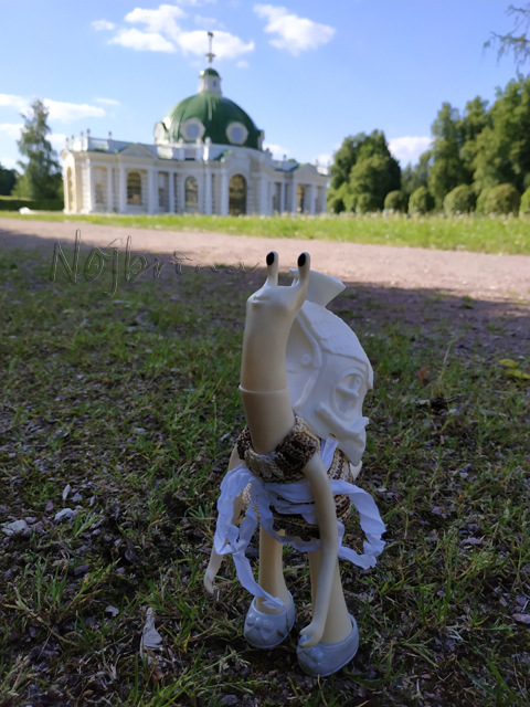 Wonderfrog. Красота в простоте