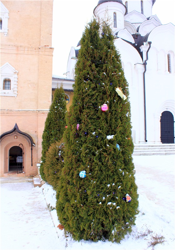 Рождественская Старица — Туризм и путешествия: фотоотчеты из поездок