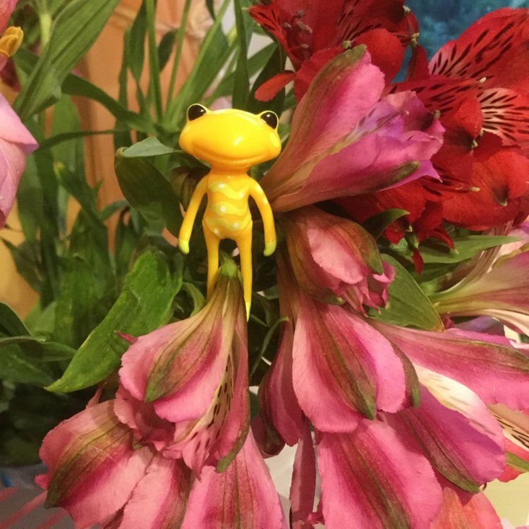 Маленькие лягушата Wonder Frog и цветы (фото 5)