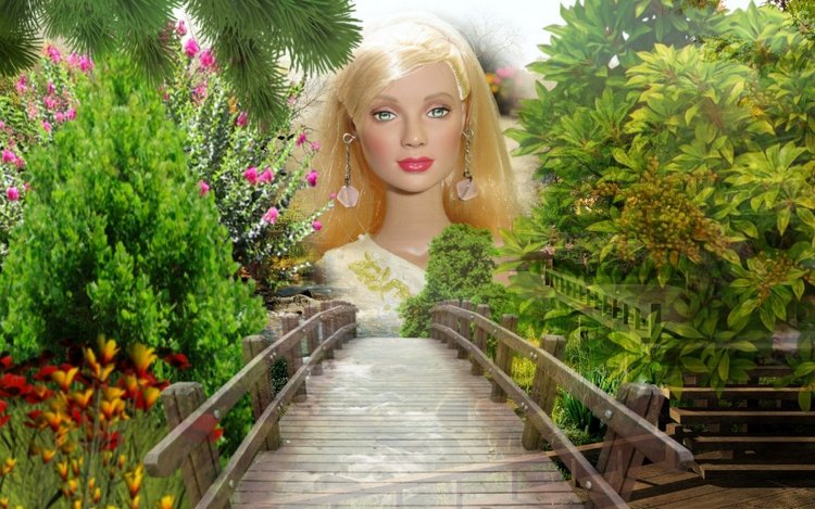 Мои Тоннерки. Фотозарисовки