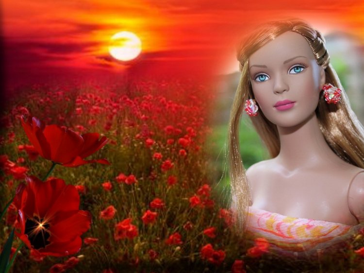 Мои Тоннерки. Фотозарисовки