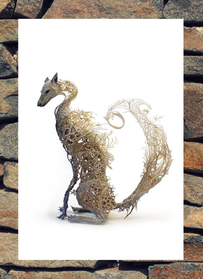 EllenJewettPrintShop - "Сюрреалистическая естественная история" by Ellen Jewett