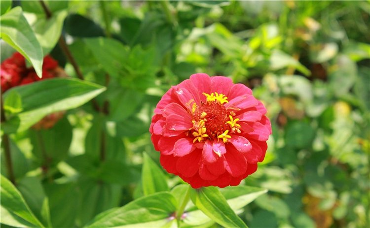Сентябрьское путешествие в Старицу. Старицкий Свято-Успенский Монастырь