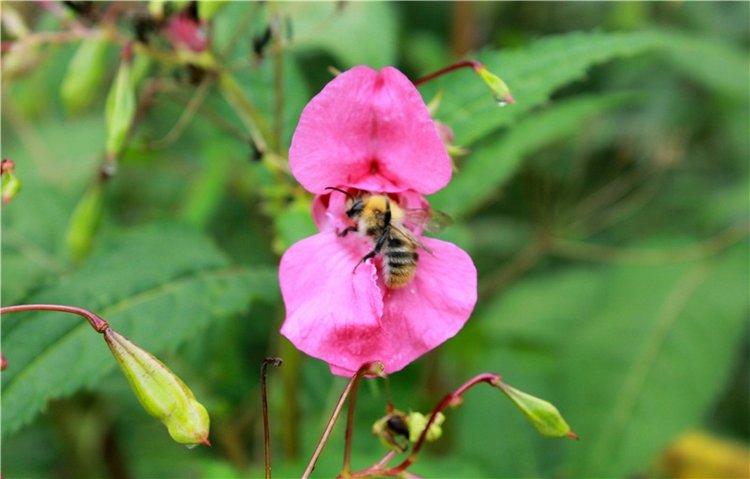 Сентябрьское путешествие в Старицу, четвёртая часть (фото 8)