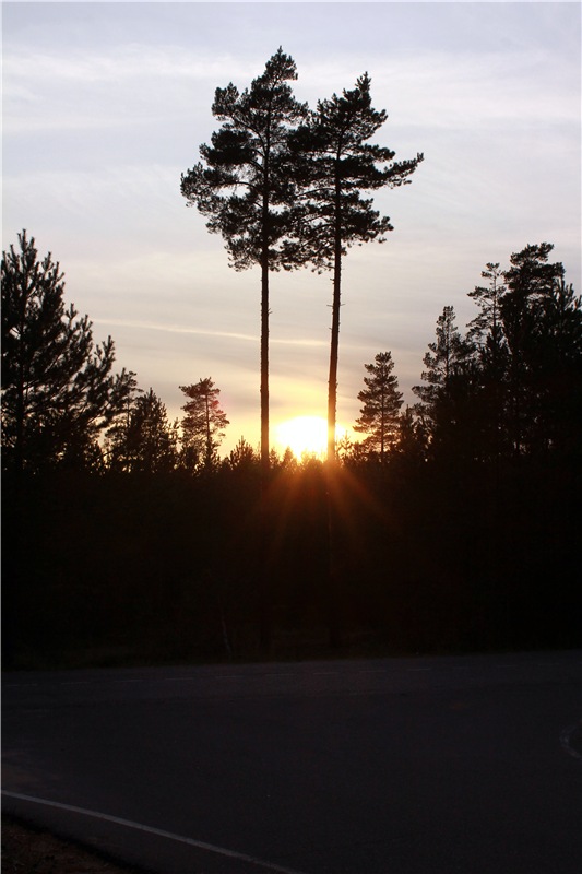 "Аманита". Aoi Yukimura Third Season 1/7 PVC figure