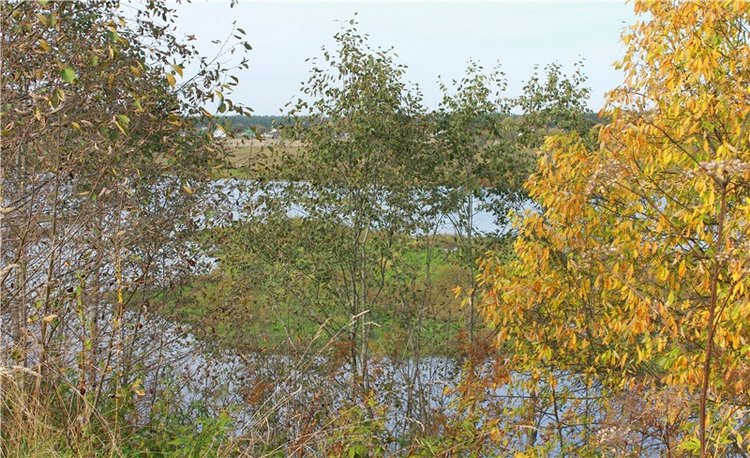 Путешествие Имани на Волгу, продолжение. Mini Imani от Kaye Wiggs