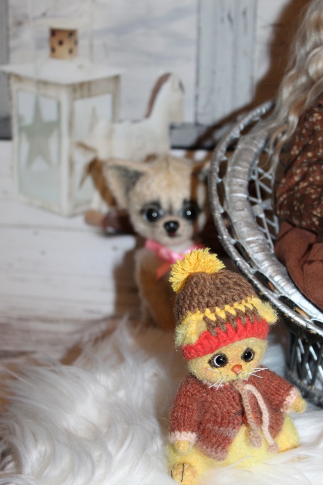 В Рождественский сочельник. Розочка в ожидании Рождества