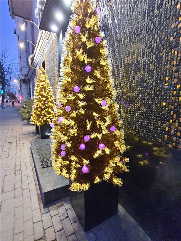 Декабрьская Тверь — Туризм и путешествия: фотоотчеты из поездок