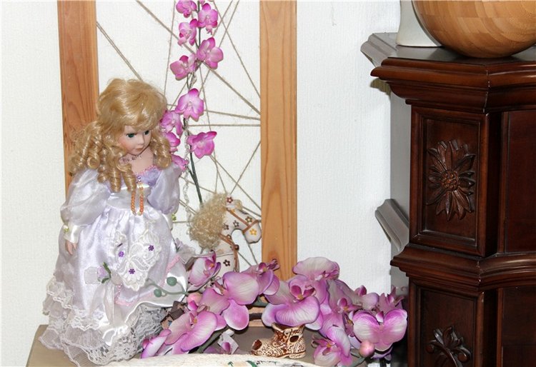 Тверской Ботанический Сад (фото 5)