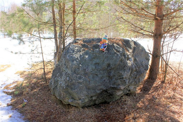 Весна в "Саду Камней" | Бэйбики Весна в "Саду Камней" — Куклы Meadow dolls (Медовушки): BJD (БЖД)