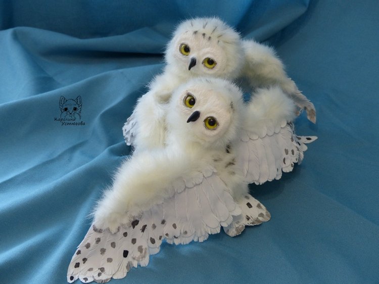 Полярные совы. Стремящиеся в полет (фото 7)