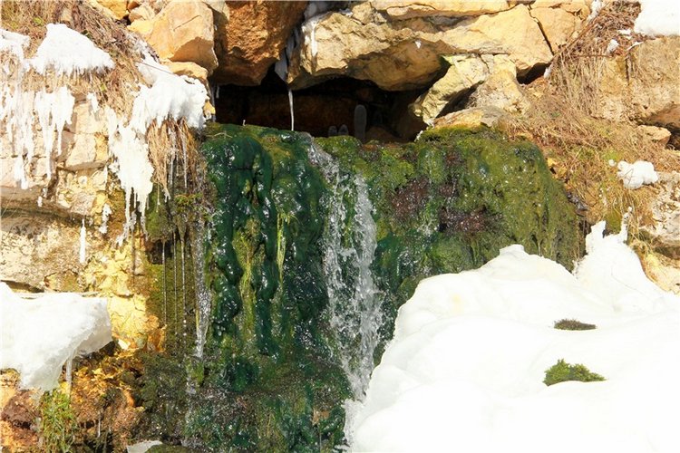 Зимняя прогулка Сони. Уникальная кукла от Сильвии Наттерер