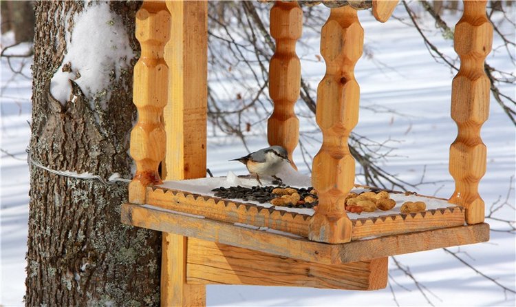 Снежный Март — Туризм и путешествия: фотоотчеты из поездок