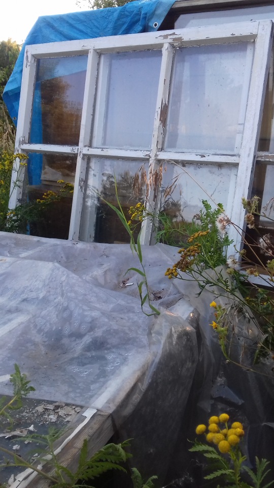 Сельская Санта-Барбара (Кирпич) (фото 7)