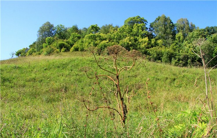 Старицкая Швейцария. Путешествие Мии. Minifee Miyu FairlyLand | Бэйбики Старицкая Швейцария. Путешествие Мии. Minifee Miyu FairlyLand