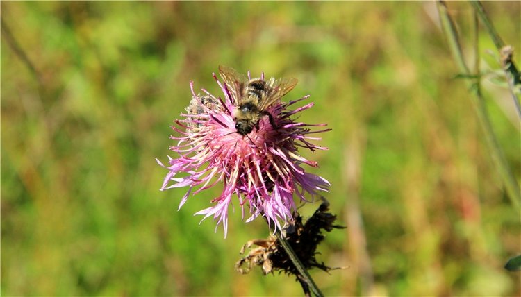 Старицкая Швейцария. Старицкие пещеры, д. Толпино, заключительная часть