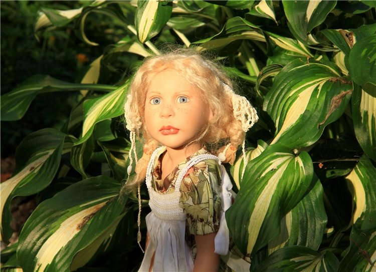 Августовская прогулка в Берново. Zwergnase Mischa