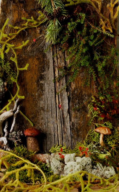 Осенний натюрморт — Другие хобби и увлечения: сад