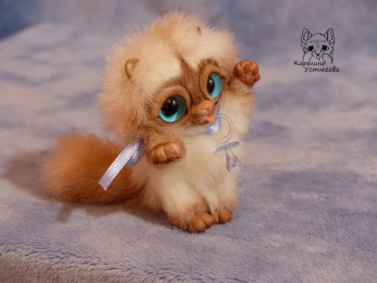 Сиамский котеночек-ребеночек (фото 7)
