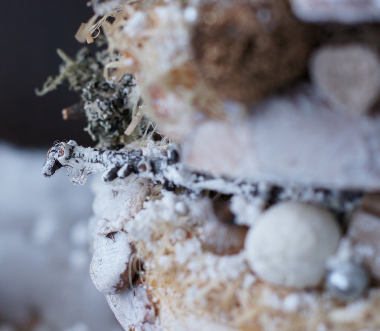 Елочка — Другие хобби и увлечения: сад