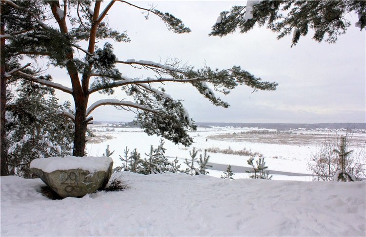 Рождественские гуляния, часть вторая. Zwergnase Mischa (фото 7)