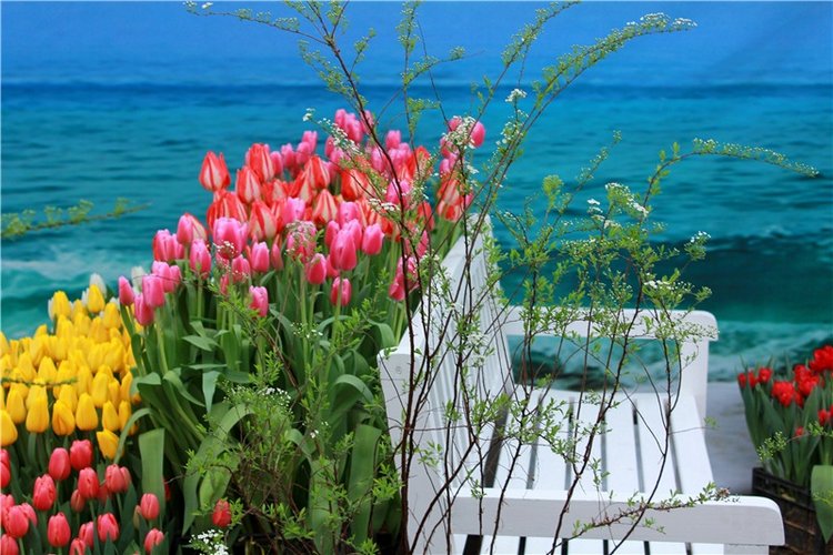 Тюльпановый Рай, продолжение. Выставка тюльпанов в Твери. Mini Layla elf Sunkissed skin от Kaye Wiggs