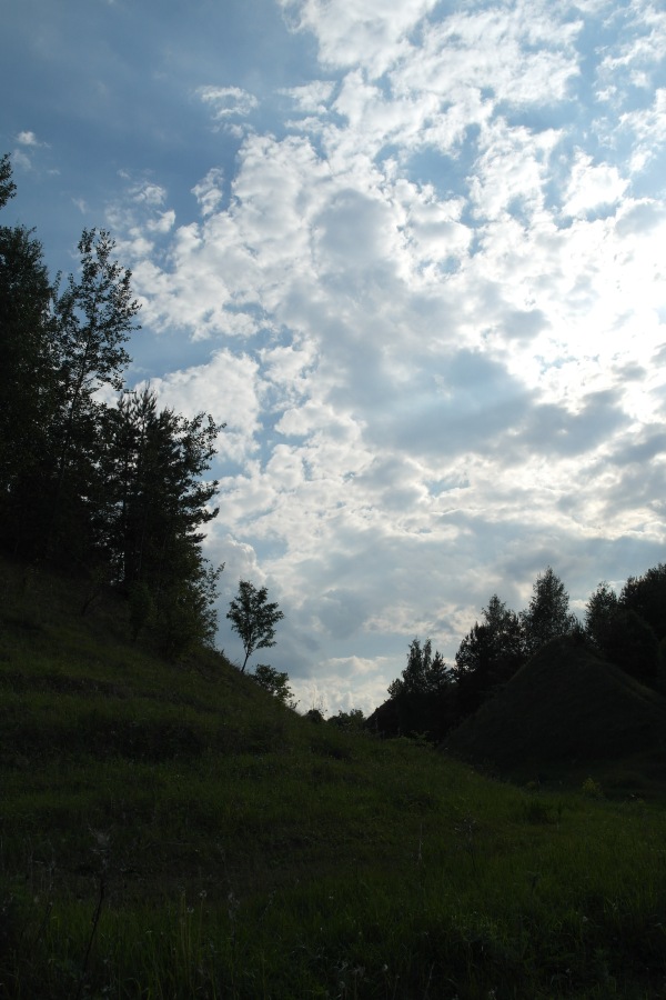 Есенинские тропинки — Куклы Kidz'n'Cats (Соня Хартман): шарнирные 46 см