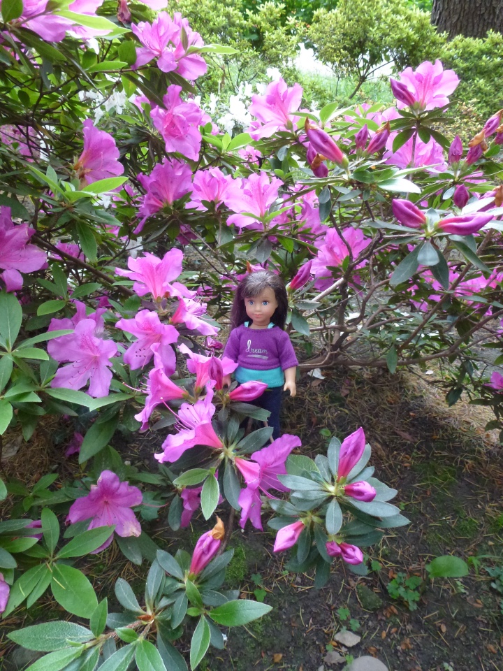 Сочи-Адлер: Южное Взморье - Мои любимые куколки на отдыхе