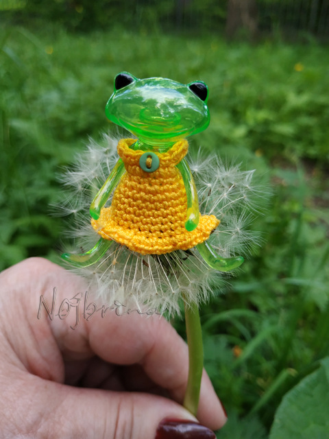 Wonderfrog. Красота в простоте