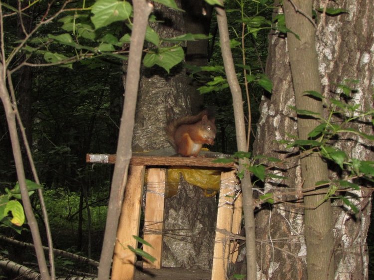 Веселое путешествие по Парку Измайлово