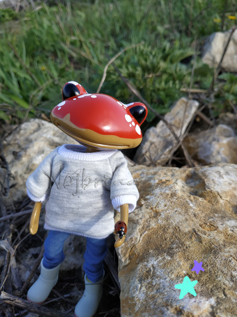 Wonderfrog. Красота в простоте