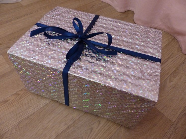 Новогодняя упаковка, провожаем в путь зверяток. Разные фотографии