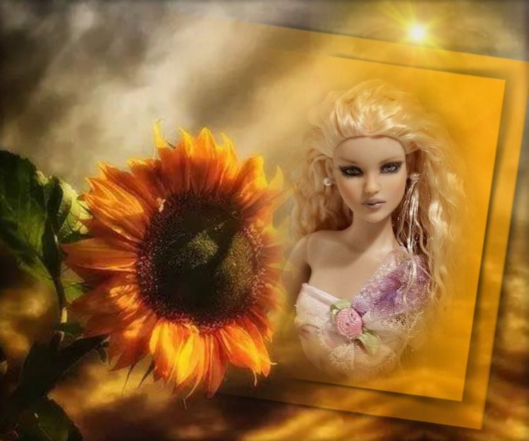 Мои Тоннерки. Фотозарисовки